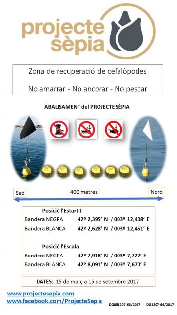 Zona de recuperació de cefalòpodes 2017 (002)