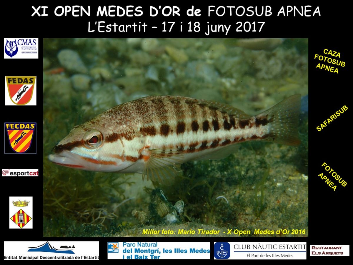 XI Open Medes d’Or de Fotosub apnea