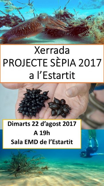 Xerrada EMD 2017 Projecte Sepia