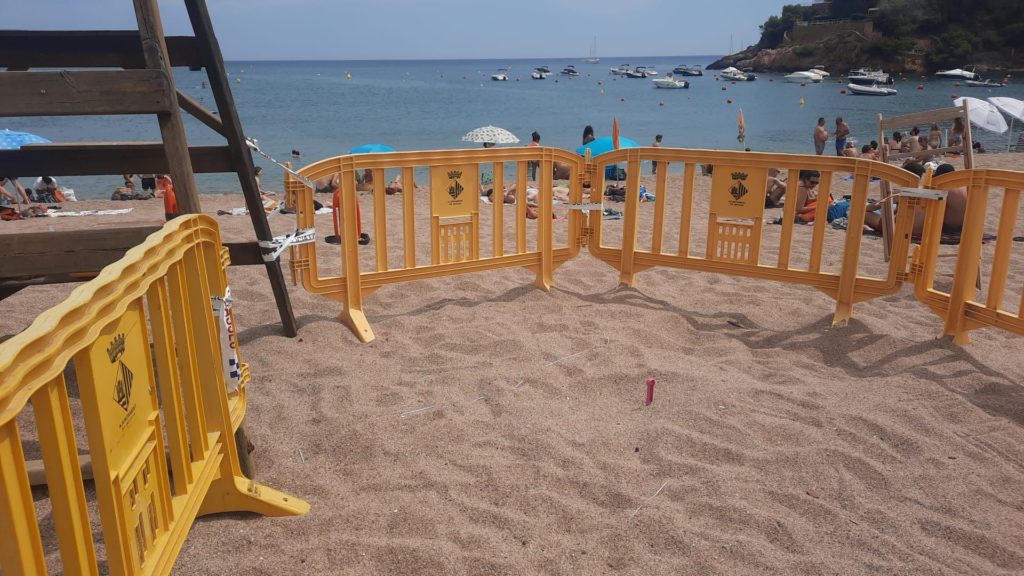 Tortuga careta a la Costa Brava