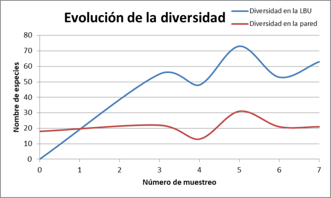 Biodiversidad marina en las Ocean Ecostructures
