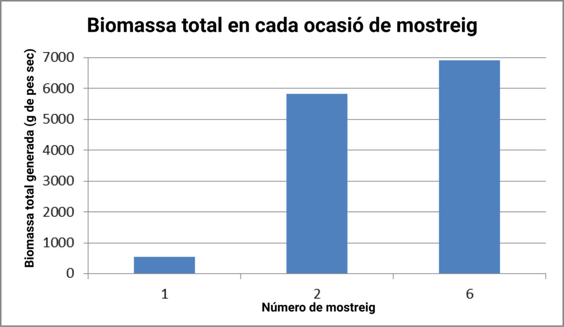 Biomassa total