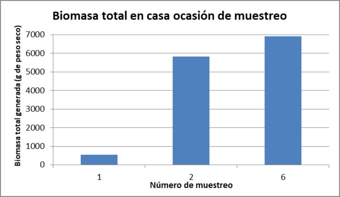Biomasa